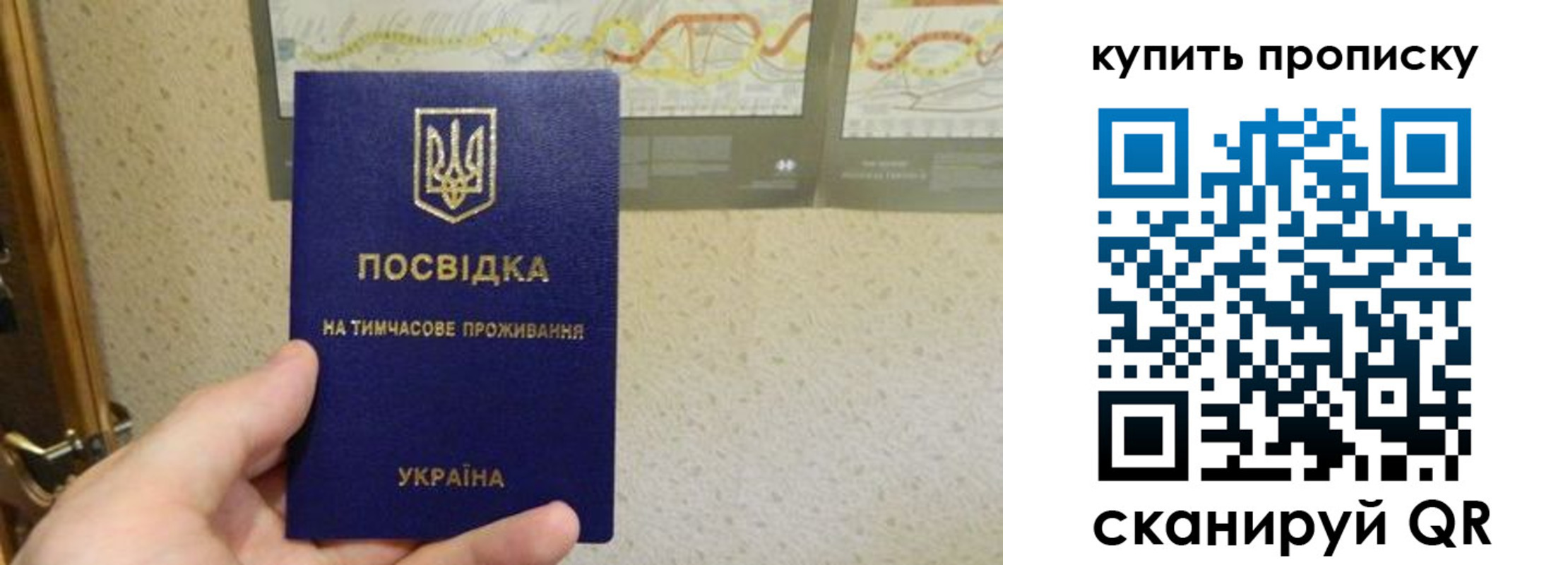 временная регистрация поиск в Лесозаводске